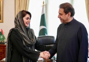 maryam nawaz dr hasnat khan meeting